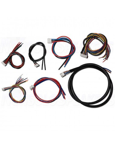 ICEpower 1200AS1 Amplifier module