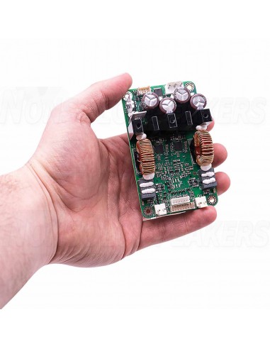 ICEpower 300A2 Amplifier Module