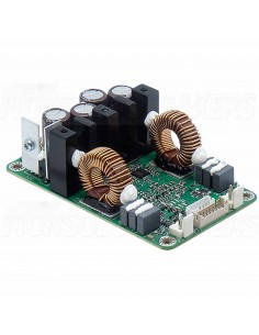 ICEpower 300A2 Amplifier Module 2