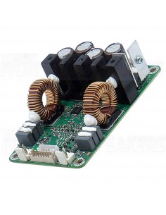 ICEpower 300A2 Amplifier Module
