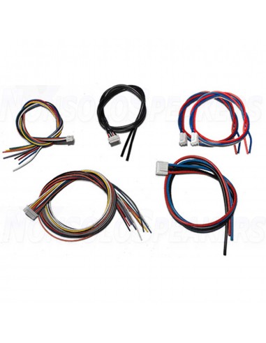 ICEpower 300A2 Amplifier Module