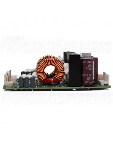 ICEpower 400A2 Amplifier Module