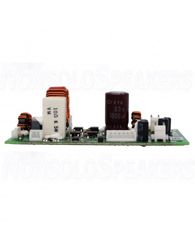 ICEpower 300A1 Amplifier Module