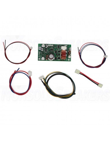 ICEpower 300A1 Amplifier Module