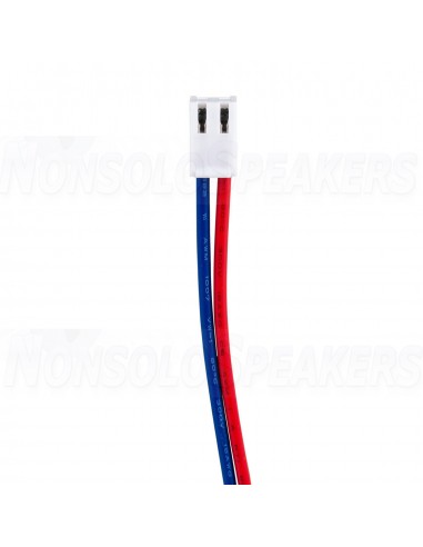 ICEpower 300A1 Amplifier Module