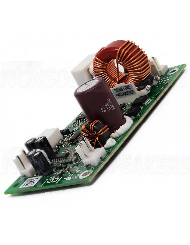 ICEpower 300A1 Amplifier Module