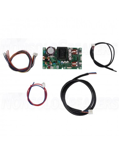ICEpower 100AS1 Amplifier Module