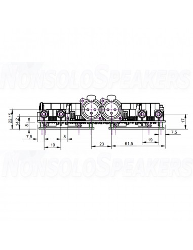 PURIFI EVAL1 Amplifier Stereo set