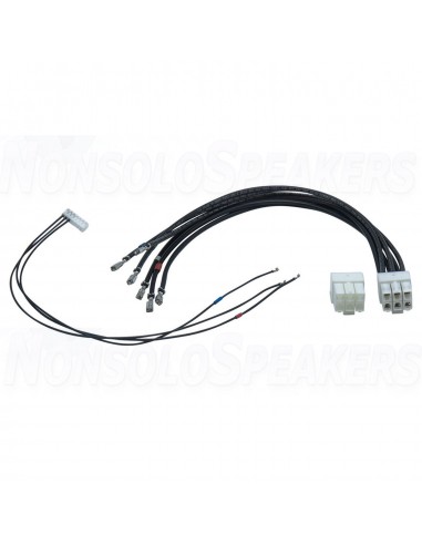PURIFI EVAL1 Amplifier Stereo set