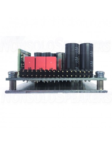 PURIFI 1ET400A 1x425W Eigentakt Amplifier Module