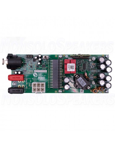 PURIFI EVAL2 Eigentakt Mono Amplifier Kit