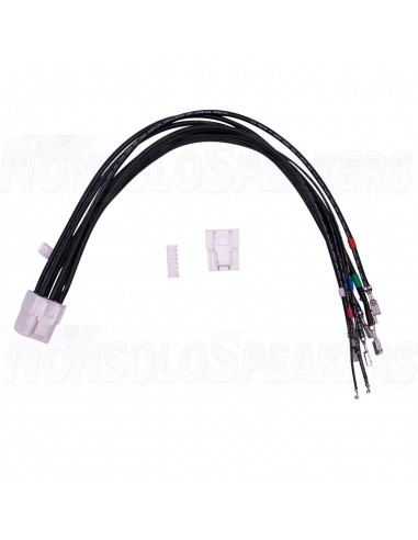 PURIFI EVAL2 Eigentakt Mono Amplifier Kit