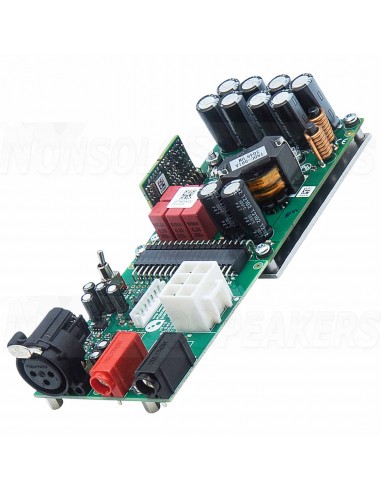 PURIFI EVAL2 Eigentakt Mono Amplifier Kit