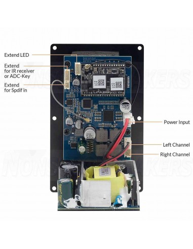 Arylic Up2Stream Module amplifier 2 channel wifi - bluetooth