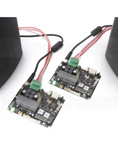 Arylic Up2Stream Mono Amplifier Module WiFi Bluetooth 5.0