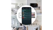Arylic Up2Stream Mono Amplifier Module WiFi Bluetooth 5.0