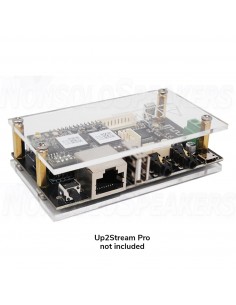 Arylic Up2Stream Pro Case 2