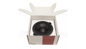 PURIFI PURIFI PTT6.5X04-NAA-08 6,5" Mid Woofer 4 Ohm