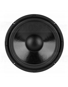 Dayton Audio DC250-8 10" Classic Woofer 2