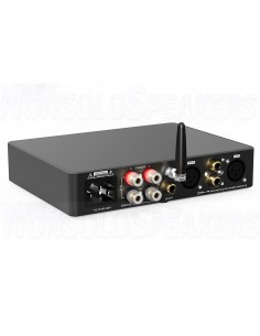 SMSL DA-9 stereo amplifier 2