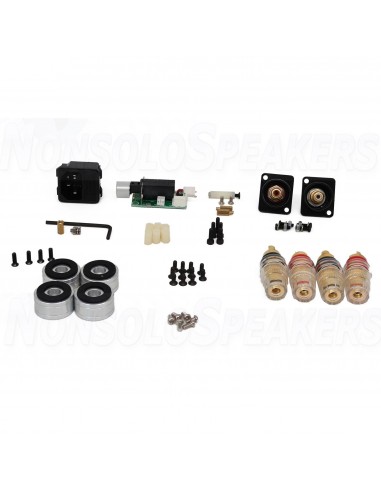SoundImpress DIY Stereo amplifier kit by ICEpower