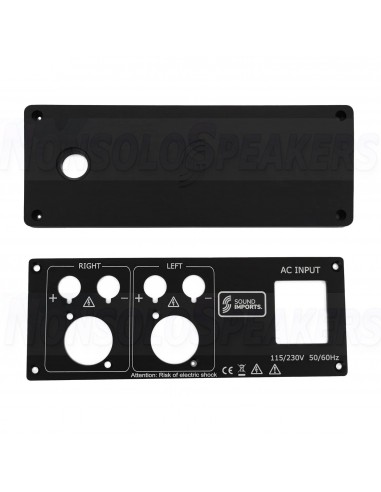 SoundImpress DIY Stereo amplifier kit by ICEpower
