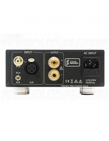 SoundImpress DIY Mono amplifier kit |170WPC | Powered by ICEpower