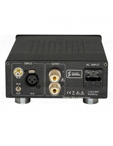 SoundImpress DIY Mono amplifier kit |170WPC | Powered by ICEpower