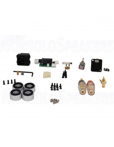SoundImpress DIY Mono amplifier kit |170WPC | Powered by ICEpower