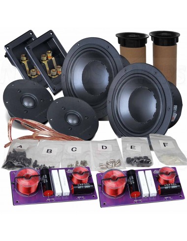HiVi Swans DIY2.2-A DIY components pack