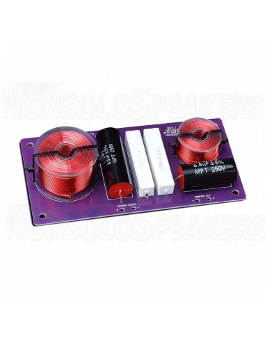 HiVi Swans DIY2.2-A DIY components pack