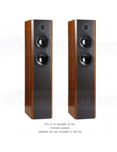 Visaton CLOU | DIY Components Pack | Sold as Pair 2