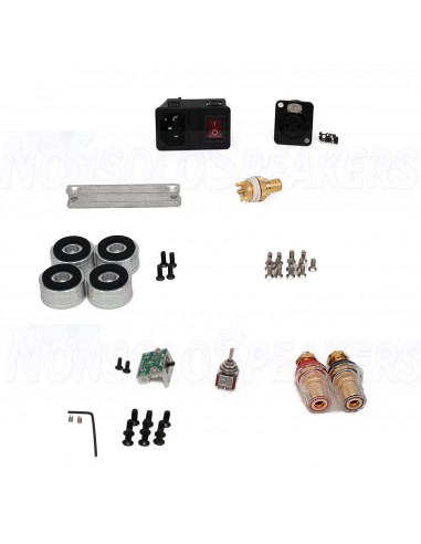 SoundImpress DIY Mono amplifier kit |1000WPC by ICEpower