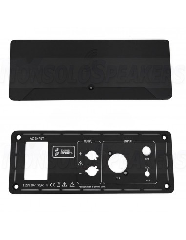 SoundImpress DIY Mono amplifier kit |1000WPC by ICEpower