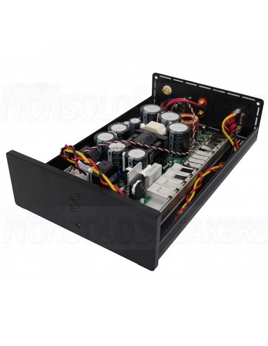 SoundImpress DIY Mono amplifier kit |1000WPC by ICEpower