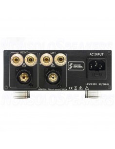 SoundImpress ICE125-2CH Stereo Amplifier |125WPC by ICEpower 2