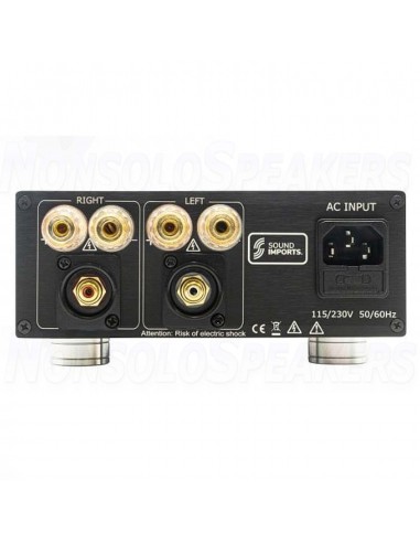 SoundImpress ICE250-2CH Stereo Amplifier|250WPC|Powered by ICEpower