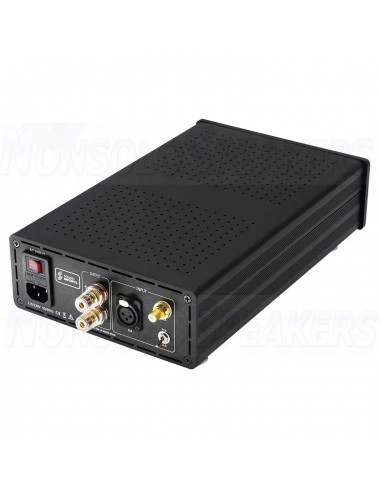 SoundImpress ICE500-1CH Mono Amplifier|500WPC by ICEpower