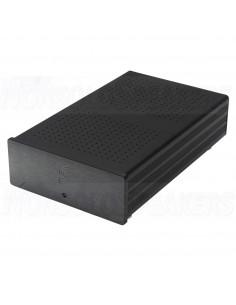 SoundImpress ICE500-1CH Mono Amplifier|500WPC by ICEpower 2