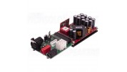 SoundImpress PU500-1CH-Kit DIY Mono amplifier Kit|500WPC|Eigentakt by Purifi