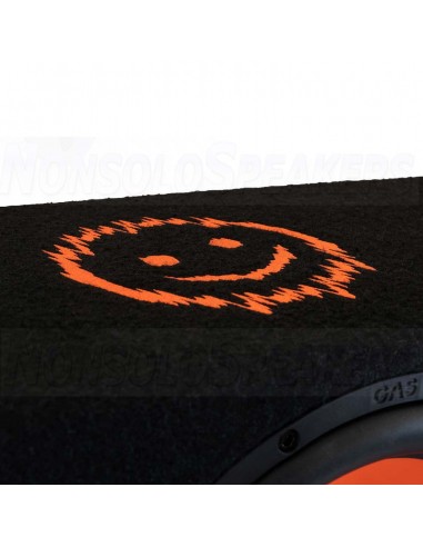 GAS MAD B2-310 10" triple subwoofer box 25cm 4+4+4 Ohm