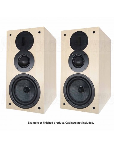 HiVi Swans DIY3.1-A Bookshelf Speakers | DIY Kit| Pair