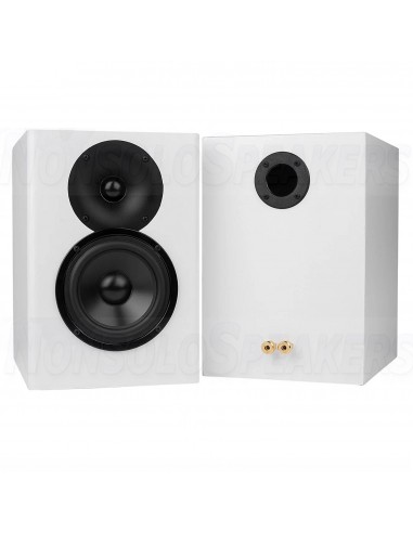 C-Note MT speaker kits pair including housing