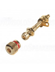 Dayton Audio BPA-38G HD Binding Post Pair Gold 2