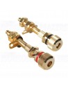 Dayton Audio BPA-38G HD Binding Post Pair Gold