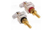 Dayton Audio BPWK-G Winged Knob Insulated Gold