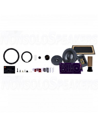 HiVi Swans DIY2.2-A DIY speaker kit