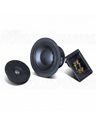 HiVi Swans DIY2.2-A DIY speaker kit
