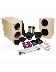 HiVi Swans DIY2.2-A DIY speaker kit 2