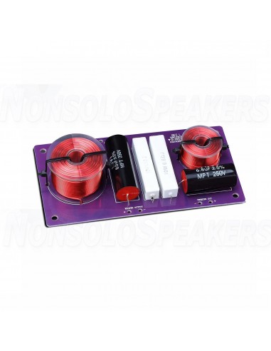 HiVi Swans DIY2.2-A DIY speaker kit pair